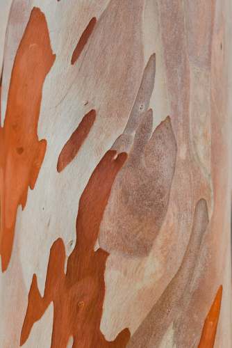 wood brown and white abstract painting plywood